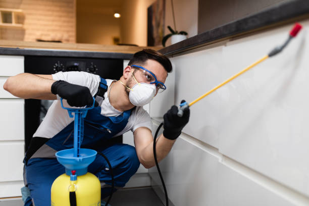 Best Exterminator Services  in Winter Springs, FL