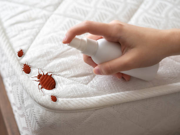 Best Residential Pest Control  in Winter Springs, FL