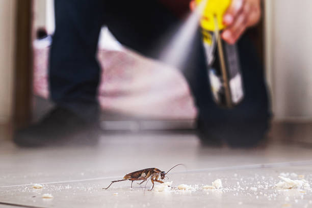 Best Pest Removal Services  in Winter Springs, FL